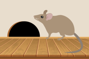 Rodent Damage & Preventative Steps to Take This Winter in Bossier City, LA
